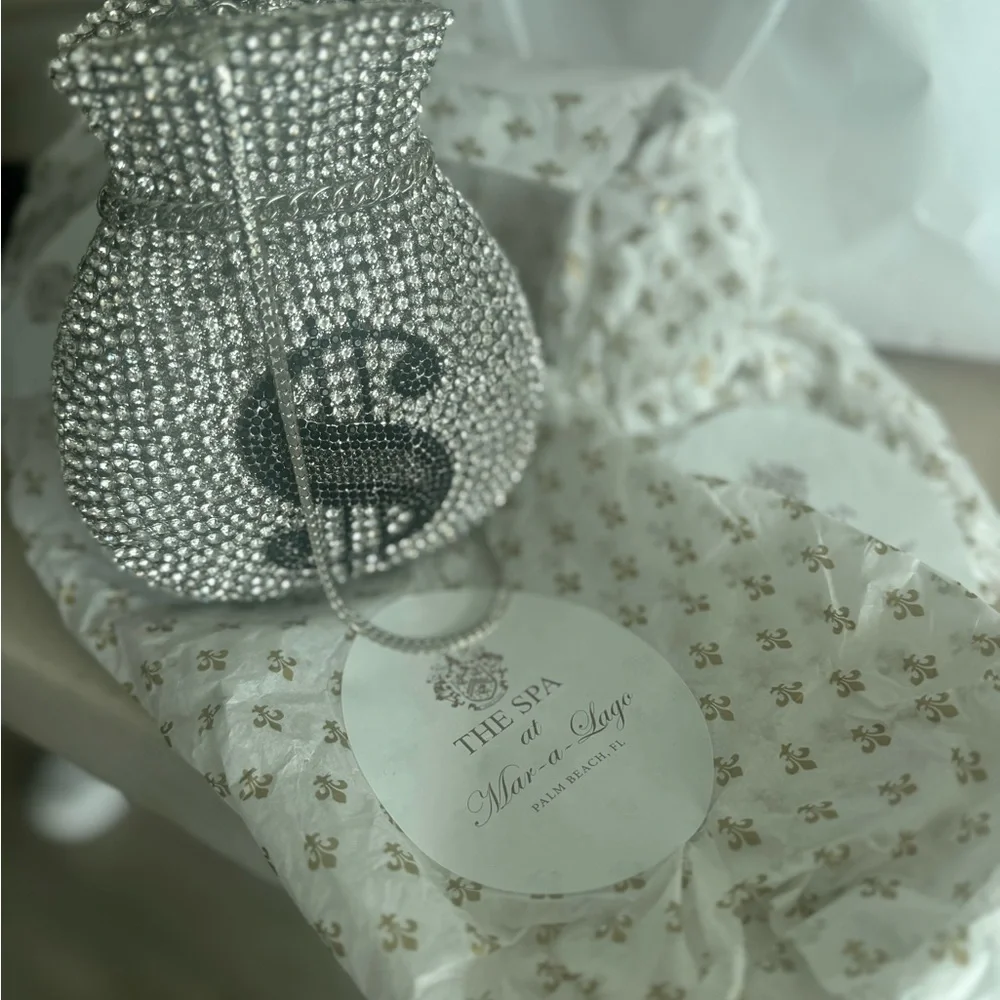 Crystal Rhinestone Dollar Sign Drawstring Clutch - Silver - Picture 3 of 5